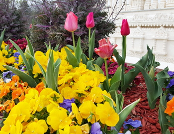 Floriculturists