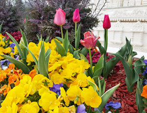 Floriculturists