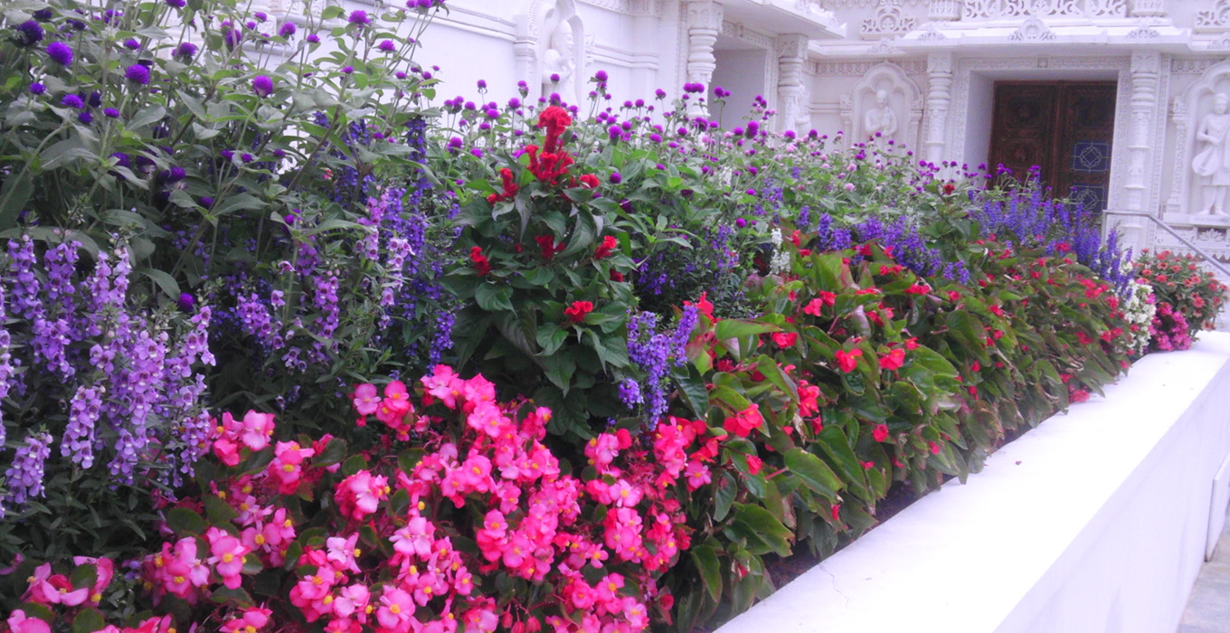 Seasonal Color Flower Bed